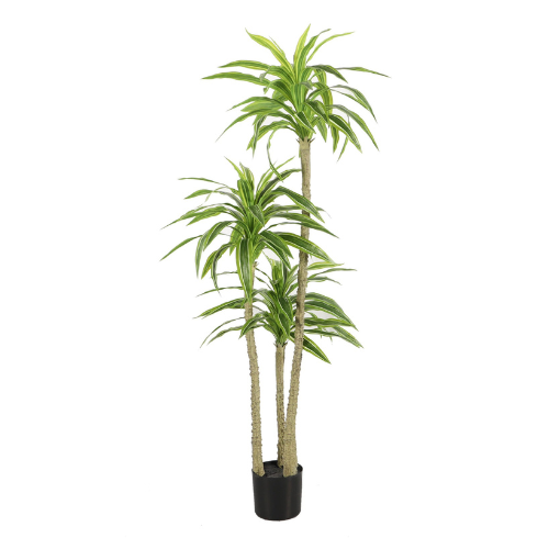 NeverLeafs Kunstplant Yucca 170 cm - Robuuste uitstraling